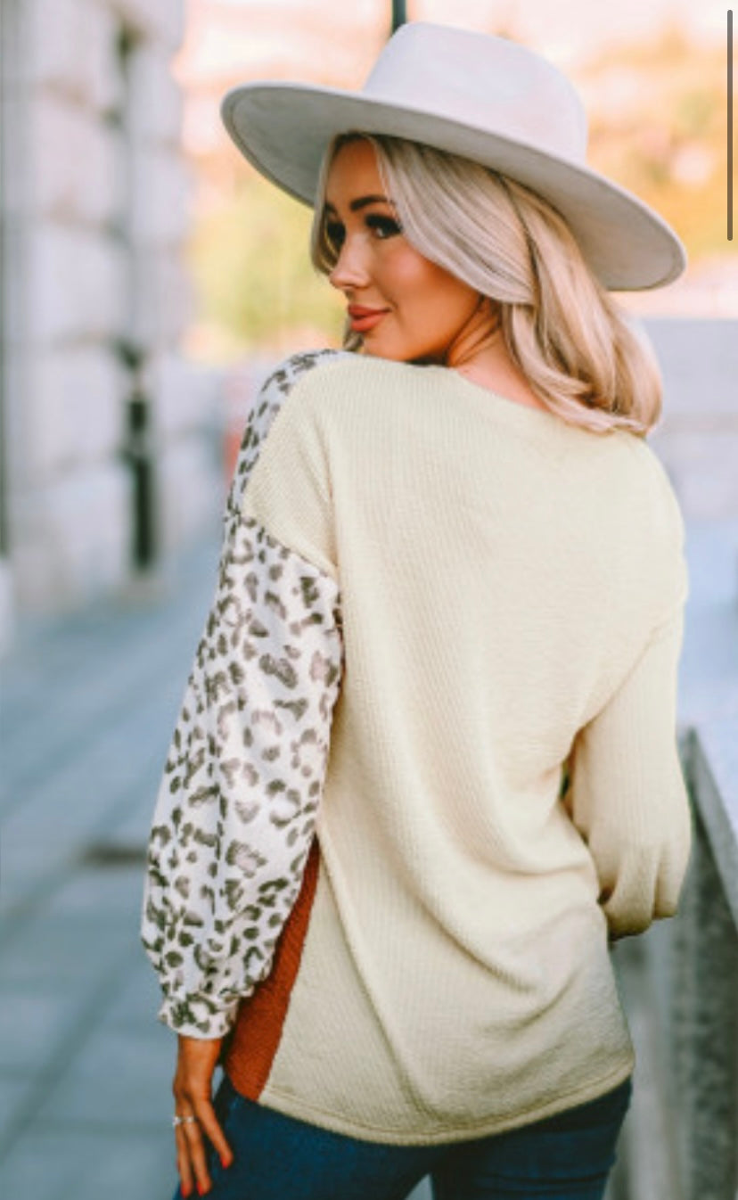 Leopard color block long sleeve top