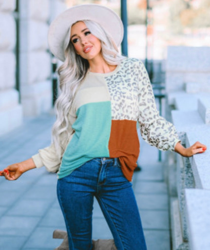 Leopard color block long sleeve top